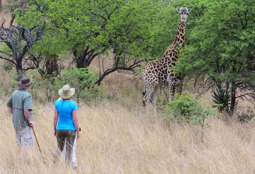 Пансион Isibindi Zulu Lodge