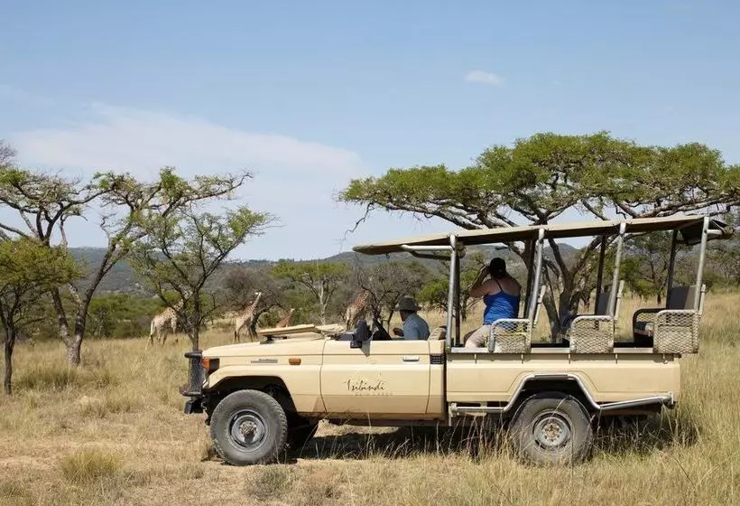 ペンション Isibindi Zulu Lodge