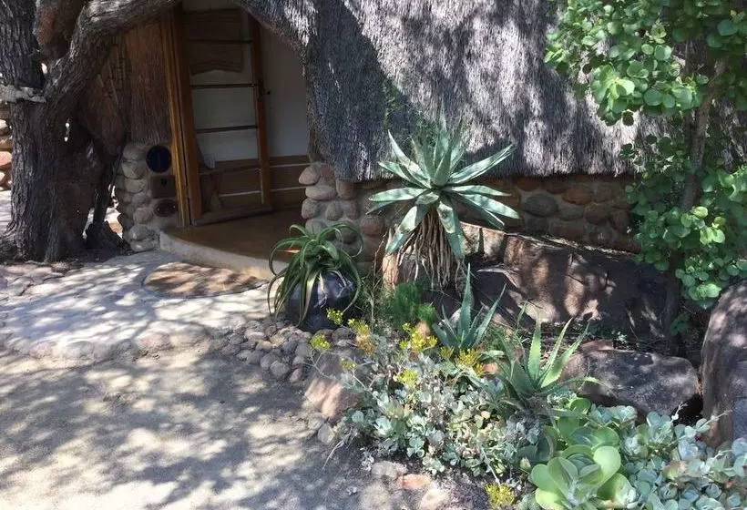 ペンション Isibindi Zulu Lodge