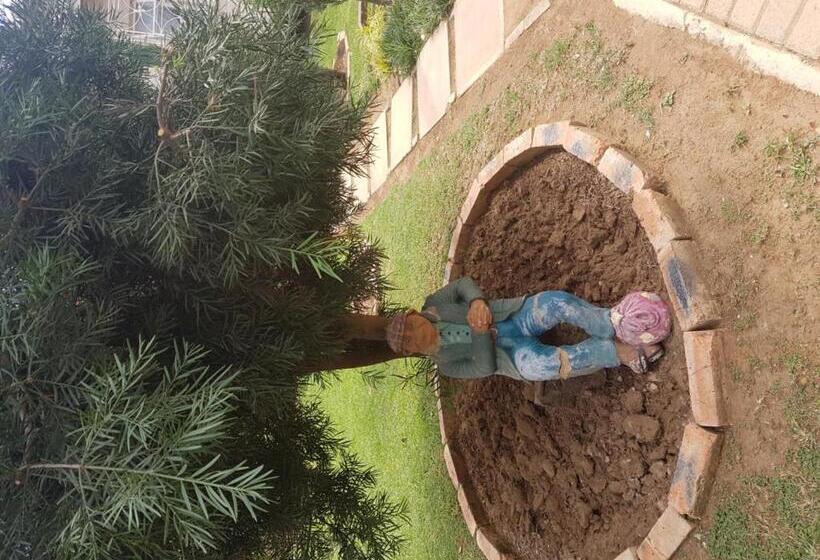 Pensão Seldre Guest House