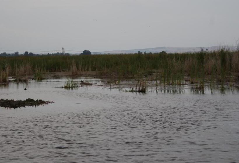 Pensão Seldre Guest House