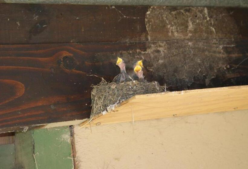 Pensão Seldre Guest House