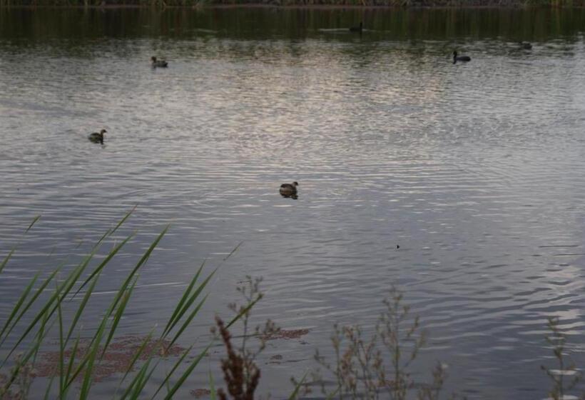 Pensão Seldre Guest House