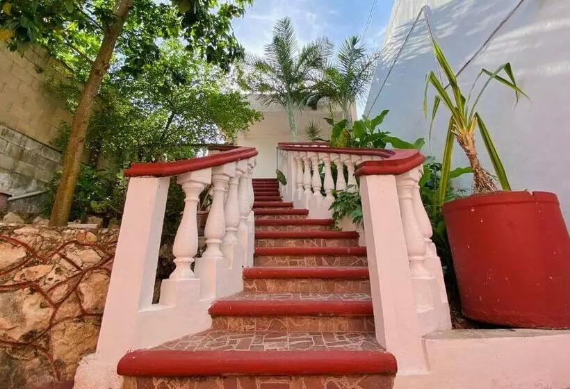 هاستل Alena Hostal