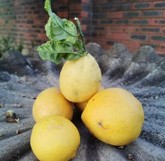 تختخواب و صبحانه Somerset Grace Double En Suit