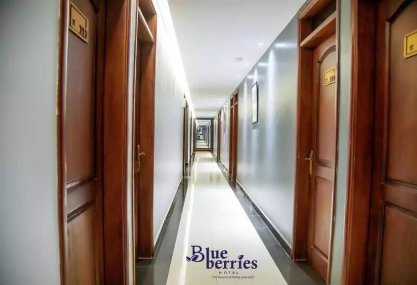 هتل Blueberries