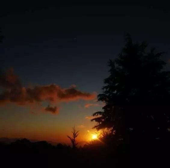 ホテル Grecia Costa Rica
