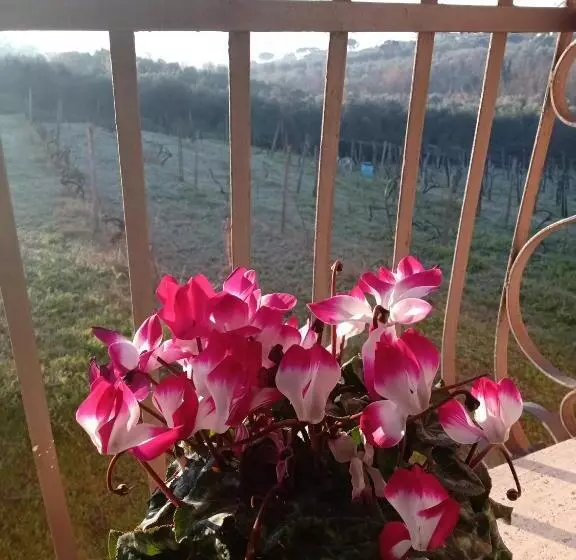 ホテル Poggio Agli Ulivi