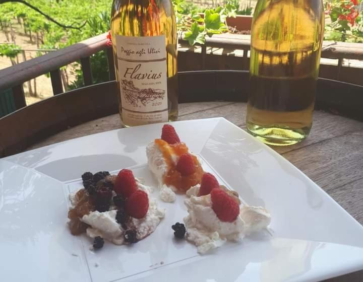 호텔 Poggio Agli Ulivi