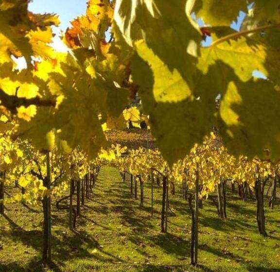 호텔 Poggio Agli Ulivi