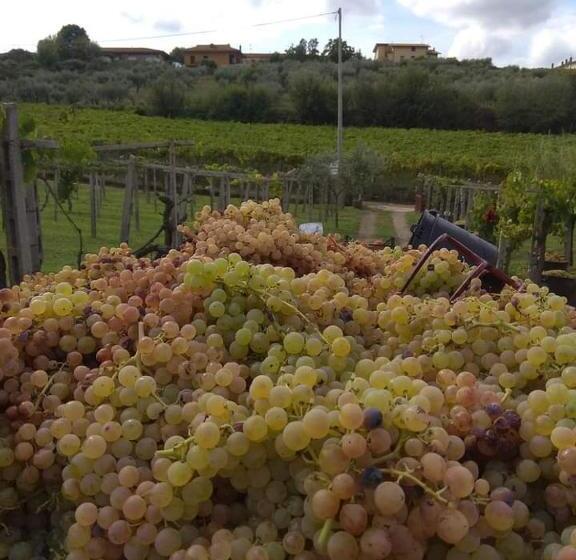 호텔 Poggio Agli Ulivi