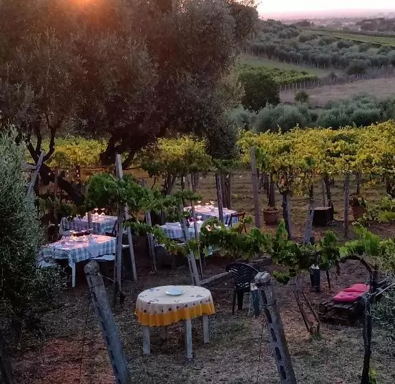 ホテル Poggio Agli Ulivi