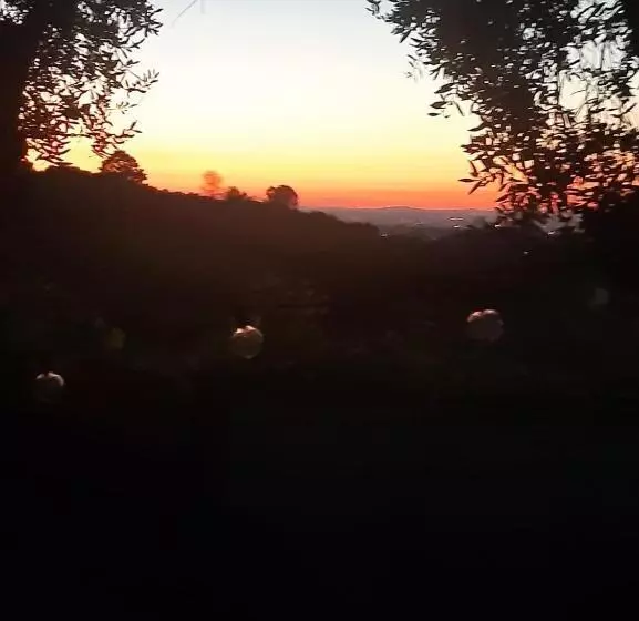 ホテル Poggio Agli Ulivi