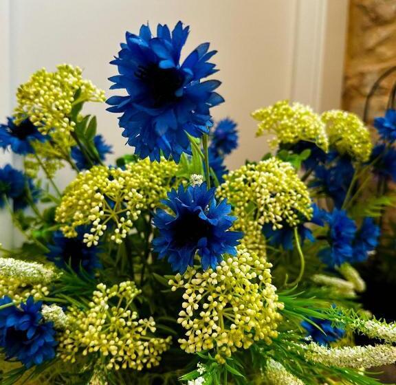 פנסיון Casa Del Fiordaliso