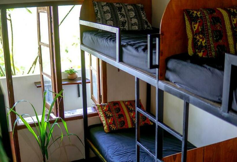 La Vista Hostel & Guesthouse