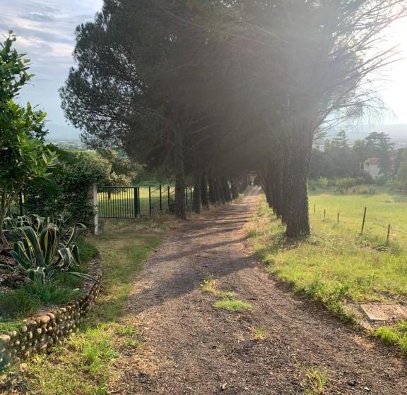 צימר Château Le Perchoir