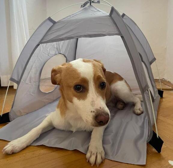 پانسیون Portofino