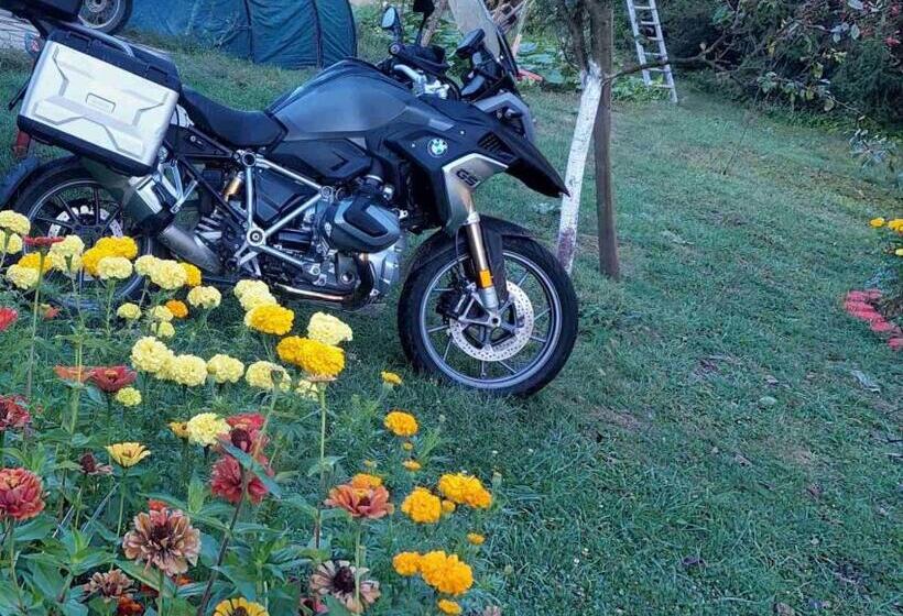 تختخواب و صبحانه 33 Lipe