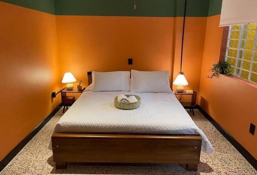 تختخواب و صبحانه La Bonita Guesthouse