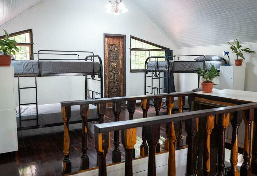 הוסטל Mai Ke Kai Surf House