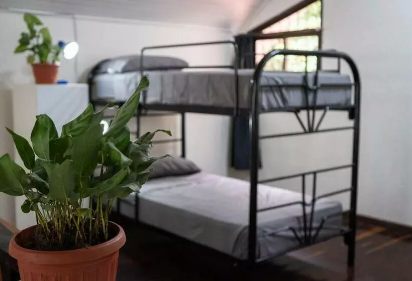 Retkeilymaja Mai Ke Kai Surf House