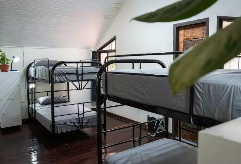 Retkeilymaja Mai Ke Kai Surf House