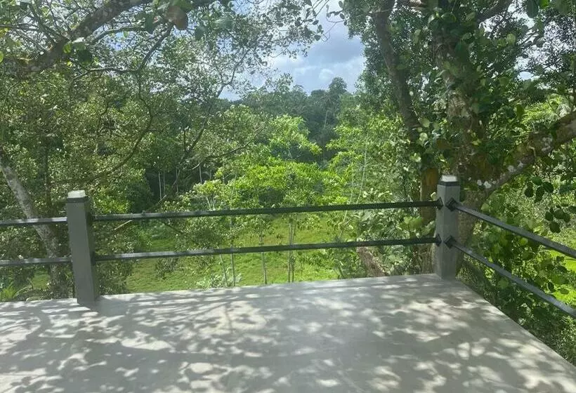 Kapselihotelli Cinnamon Grove
