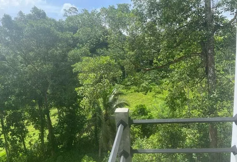Kapselihotelli Cinnamon Grove