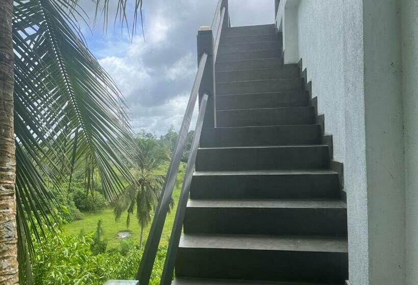 Hotel Capsulă Cinnamon Grove