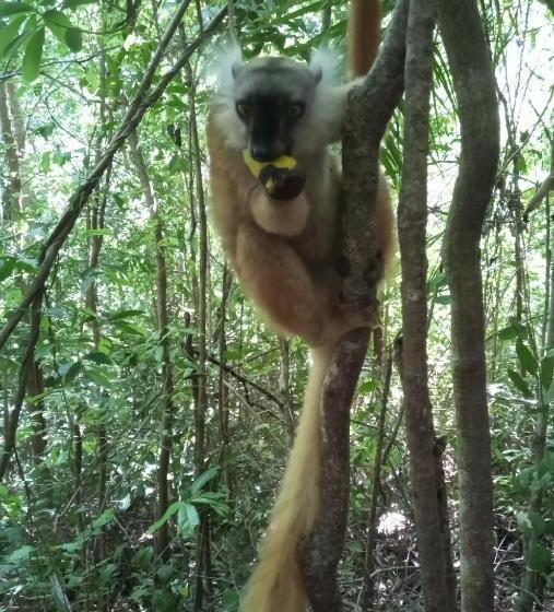 펜션 L Oustal De Nosy Be