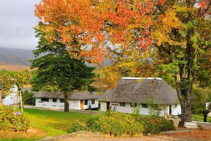 リゾートホテル Drakensberg White Mountain Backpackers