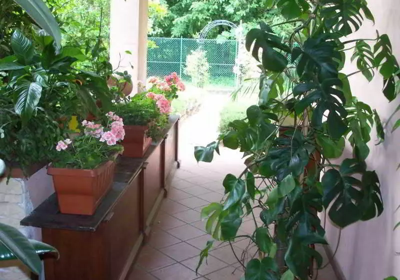 Bed & Breakfast Il Ciliegio Fiorito