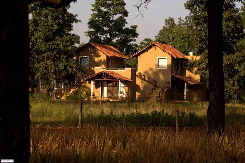 ホテル Chitvan Jungle Lodge