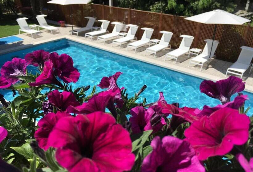 Отель Mar Del Plata