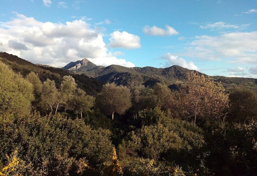 فندق ريفى Restaurante Las Buitreras