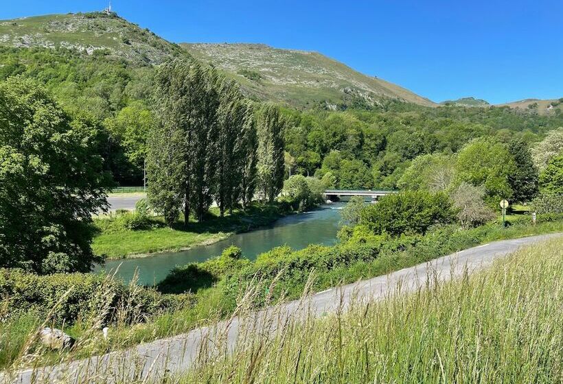 Отель Saint Clair