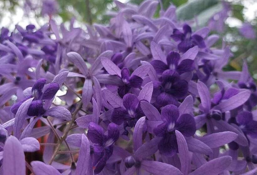 Hotel Serenity Resort Koh Chang