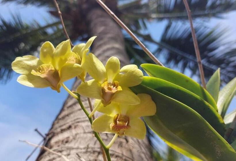 Hotel Serenity Resort Koh Chang