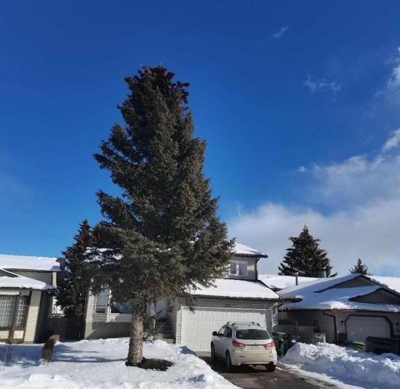 پانسیون Lily Room Near Golf And Banff Newly Renovated Very Quiet