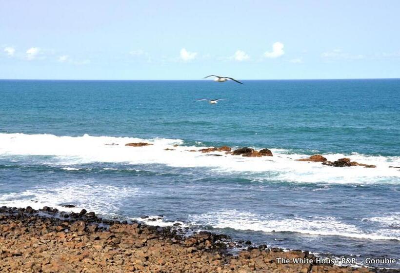 膳宿费 The White House Guesthouse