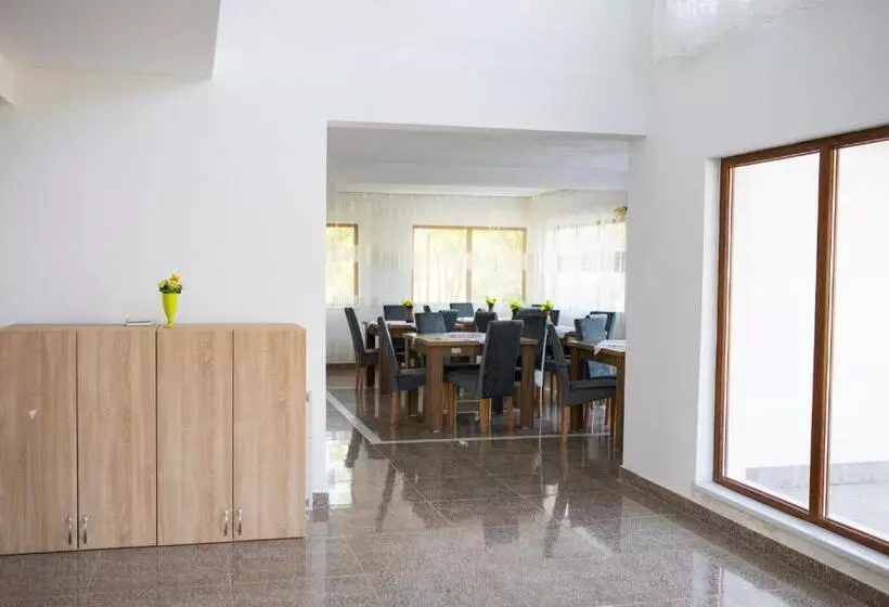 Pensiunea Paradiso Sarinasuf