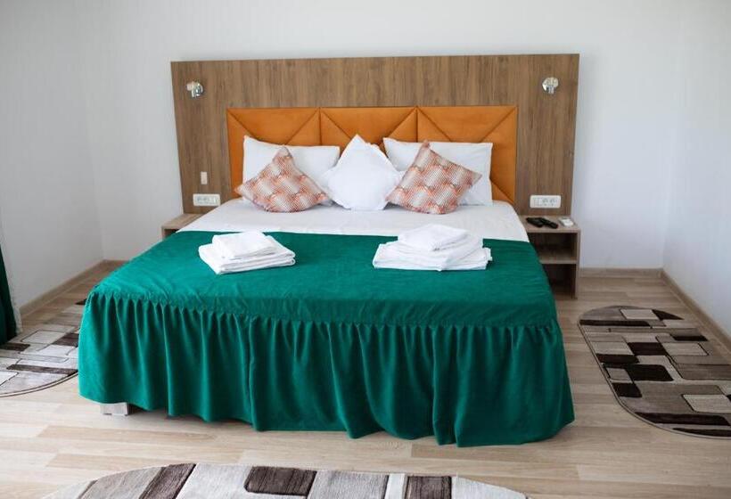 Pensiunea Paradiso Sarinasuf