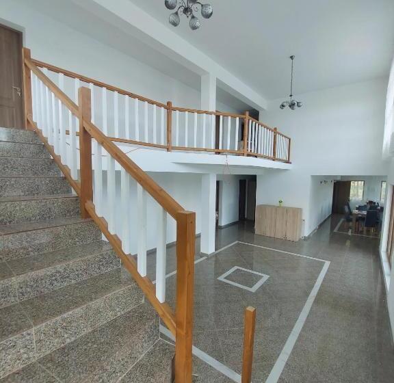 Pensiunea Paradiso Sarinasuf