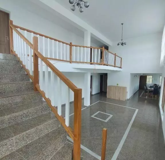 Pensiunea Paradiso Sarinasuf