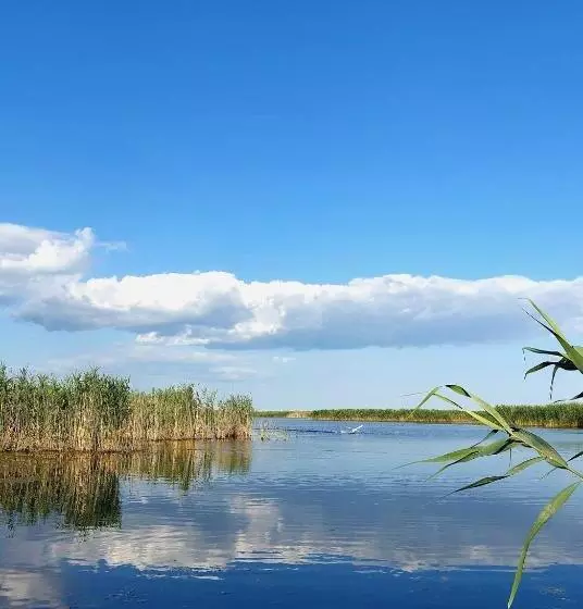 Pensiunea Paradiso Sarinasuf