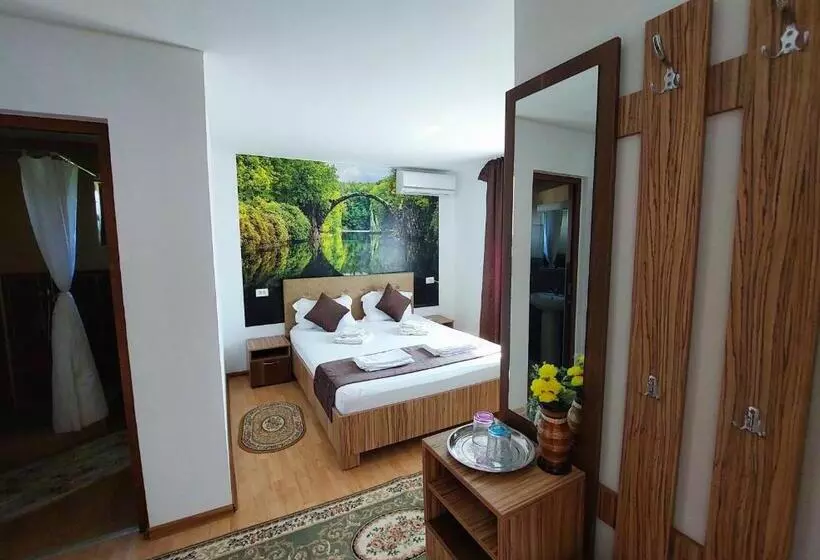 Pensiunea Paradiso Sarinasuf