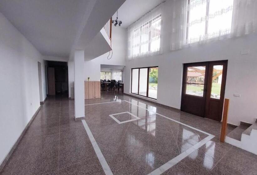 Pensiunea Paradiso Sarinasuf