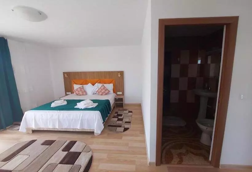 Pensiunea Paradiso Sarinasuf