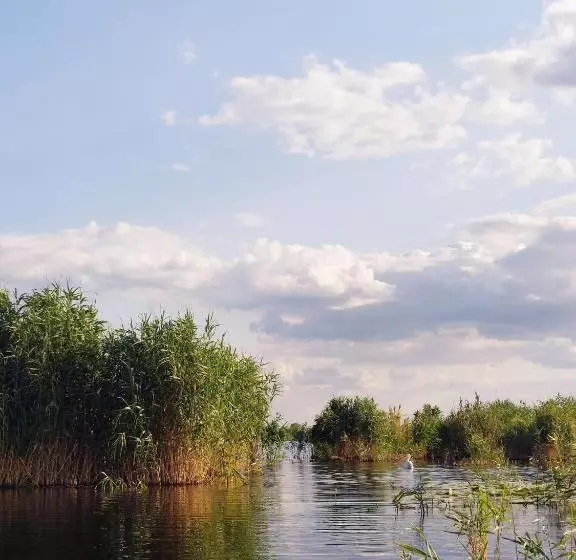 Pensiunea Paradiso Sarinasuf