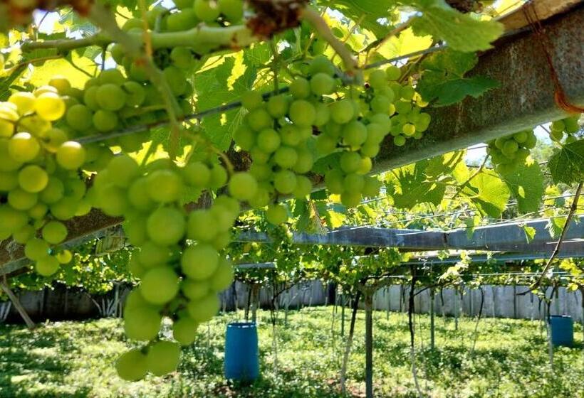 پانسیون Eco Village Tskaltubo